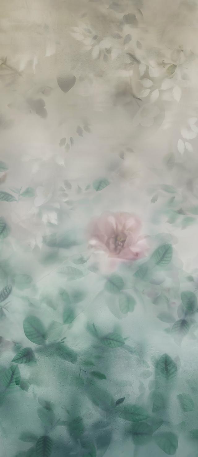 Rose Bush B | Casalgrande Padana Rose Bush B | Casalgrande Padana