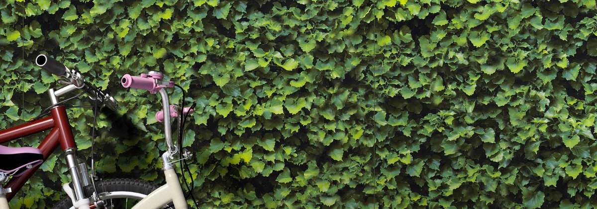 Limpha : le grès cérame toujours vert qui purifie l’air Limpha : le grès cérame toujours vert qui purifie l’air